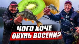 Product video preview