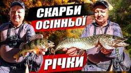 Product video preview